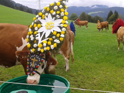 Biobauernhof Tirol